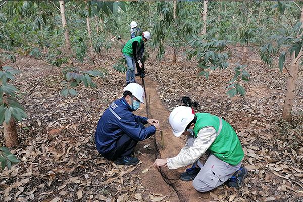 蒙山白蟻防治費用紅火蟻的攻擊行為:紅火蟻用于攻擊其他生物的器官是