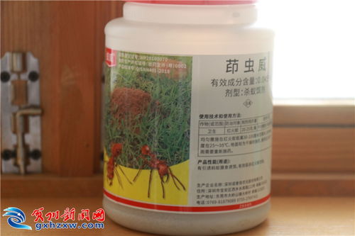 我市紅火蟻防治初見成效 但市民仍需加強警惕